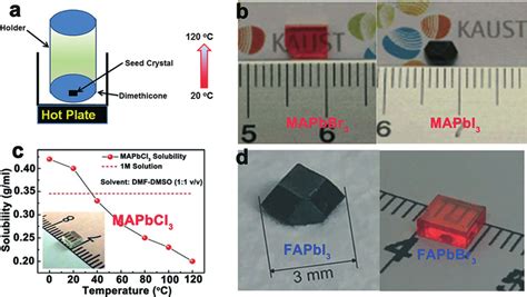 metal single crystal fabrication|nature single crystal.